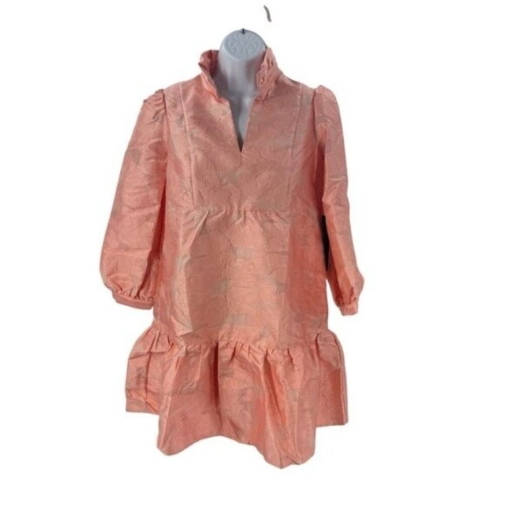 Tuckernuck NEW Bellini Fil Coupe Pink Drop Waist Long Sleeve Palmerston Dress M - Picture 2 of 12